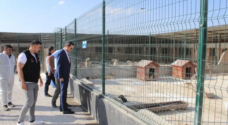 Selim Kaymakamı Mehmet Ali Semiz'den hayvan barınağına ziyaret