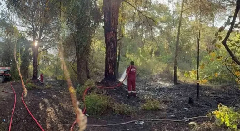 Serik’te korkutan yangın! Ormanlık alan zarar gördü