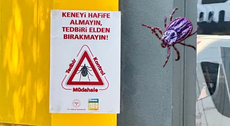 Sincan’da kene tedbirleri: Bakanlık uyarısı sokaklara taştı