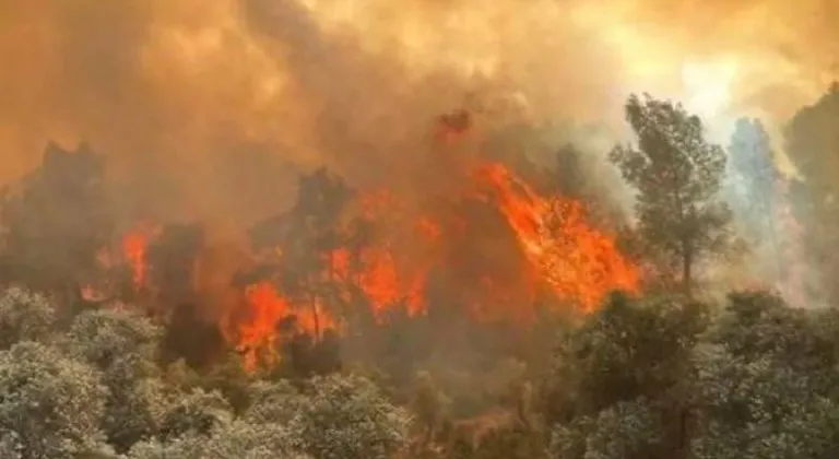 Son 15 günde yangınlarla ilgili 17 kişi tutuklandı