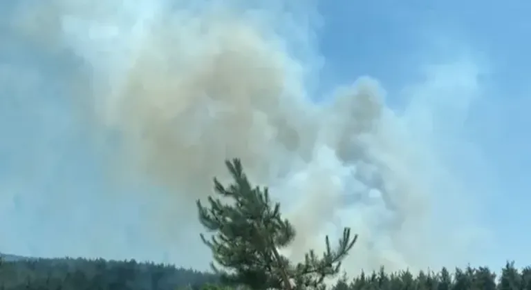 Son dakika... Bursa’da anız yangını ormana sıçradı!