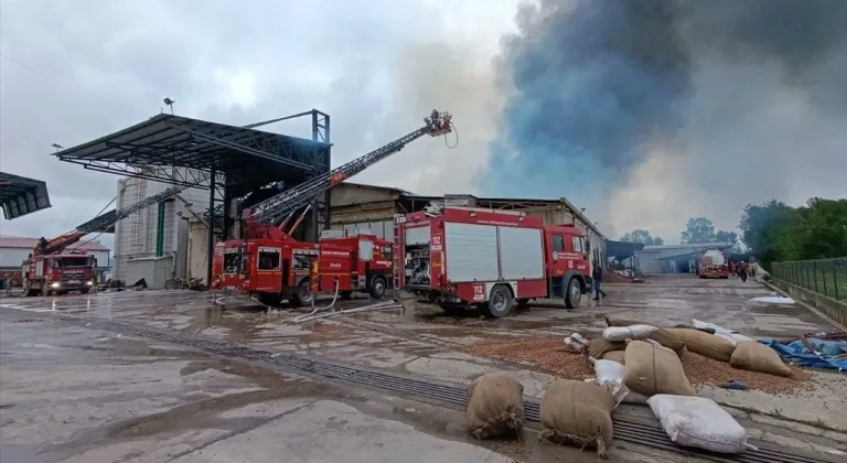 Son dakika... Sakarya’da fındık fabrikasında yangın