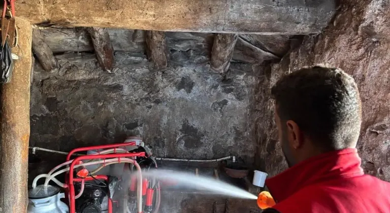 Susuz'da şap hastalığına karşı aşılama ve dezenfekte çalışmaları devam ediyor