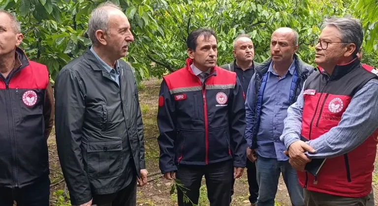 Tarım uzmanları Amasya’da don hasarını yerinde inceledi