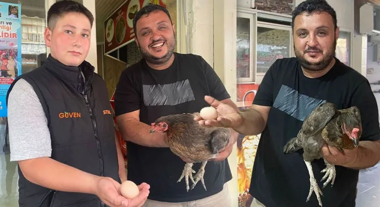 Tavuktan dönerciye sürpriz ziyaret: İçeri girip yumurtladı!