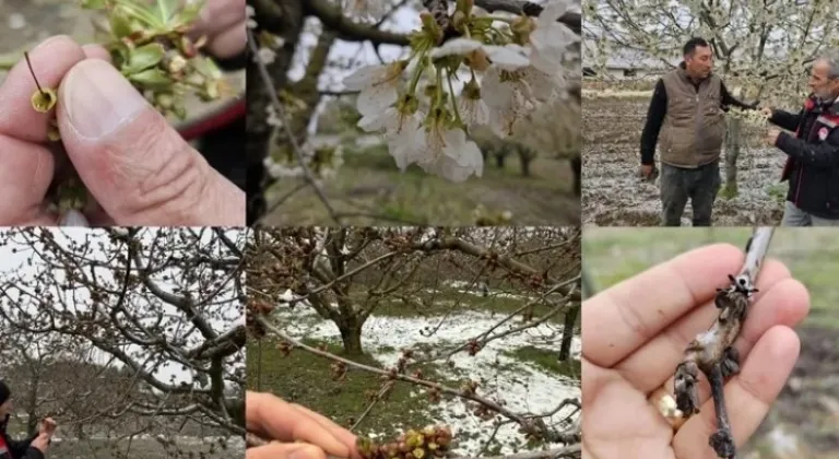 TBMM Zirai Don Komisyonu Resmen Kuruldu

