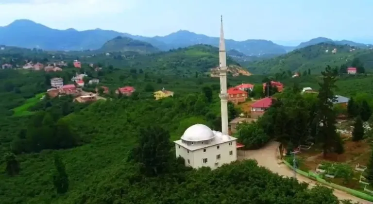 Tirebolu'da tarihi referandum: Abdullu Köyü kuruluyor!