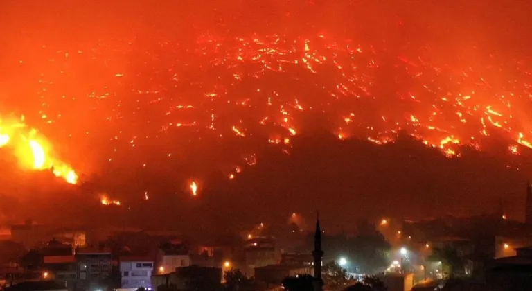 Türkiye dört bir yanında çıkan yangınlarla mücadele ediyor: Havadan ve karadan müdahale sürüyor