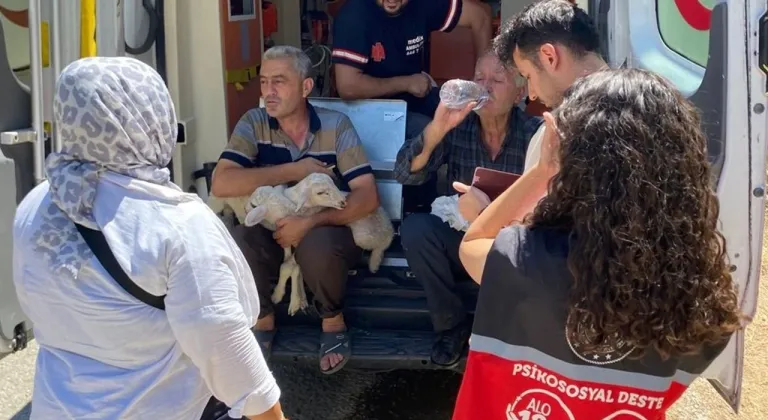 Yangın bölgesindeki hanelere 12 milyon yardım